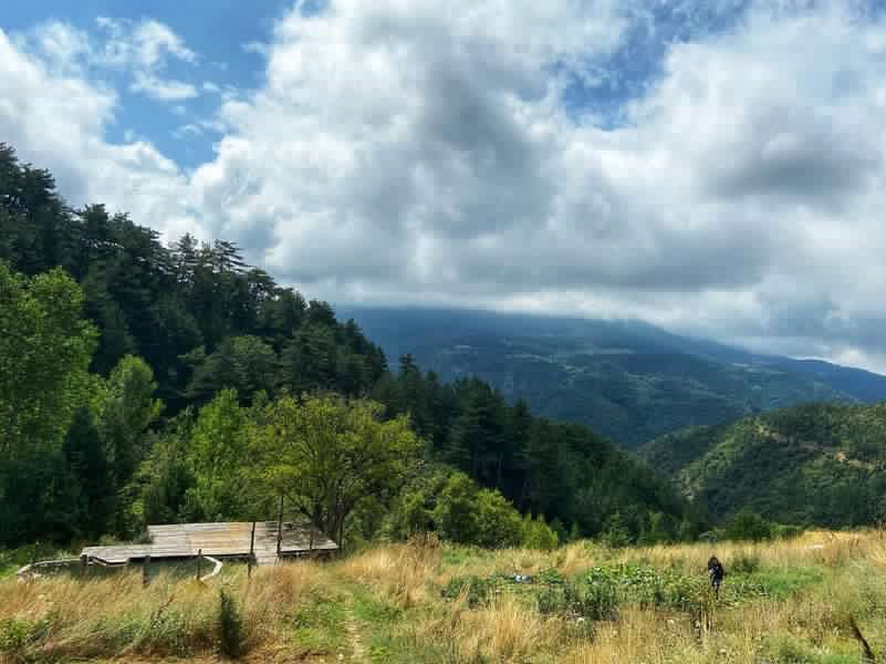 Kurban Bayramı'nda Bolu | Yoga, Doğal Nefes ve Koçluk Kampı Nurhan Kad
