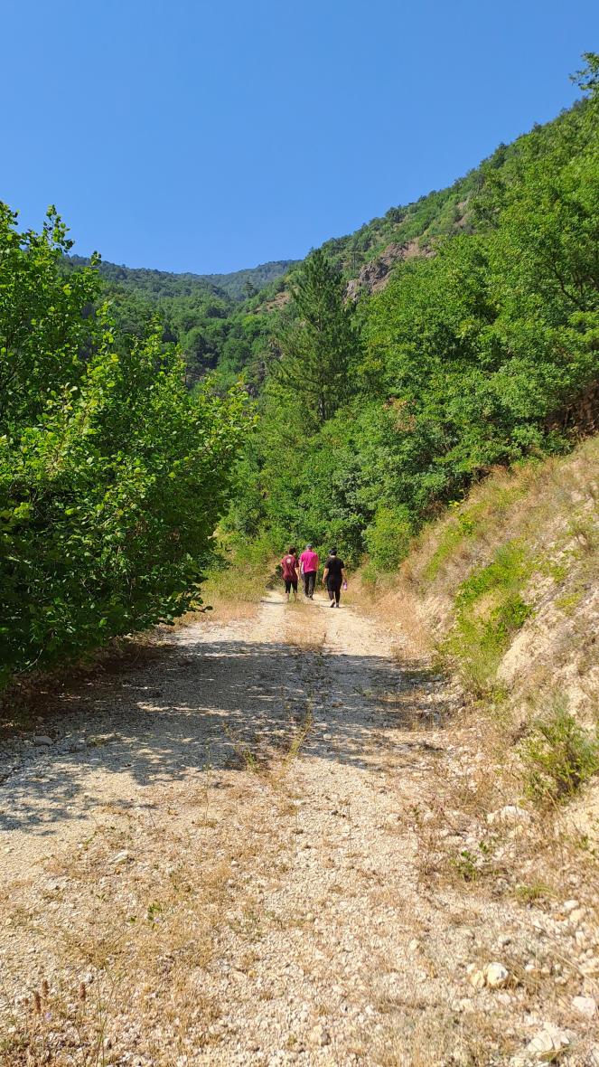 Kurban Bayramı'nda Bolu | Yoga, Doğal Nefes ve Koçluk Kampı Nurhan Kad
