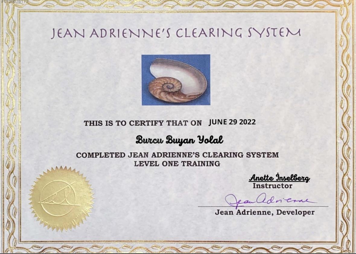 Jean Adrienne Arınma Sistemi ile Para Blokajinı Temizleme