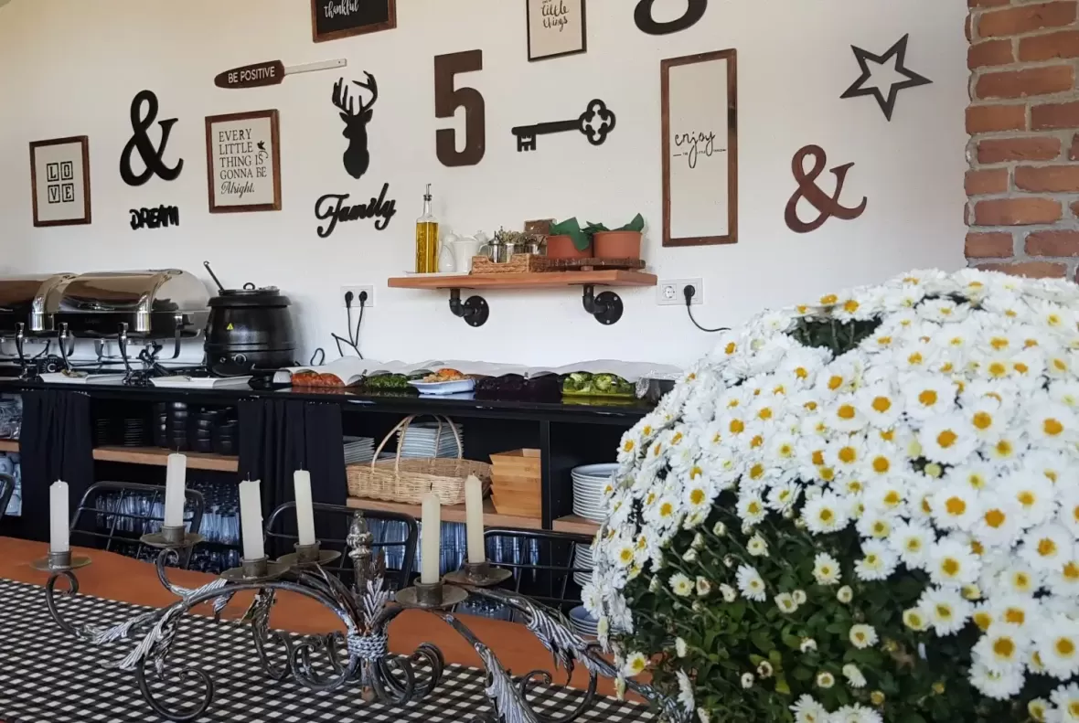 Auramind l Yaşam Denge Kampı l İstanbul Auramind