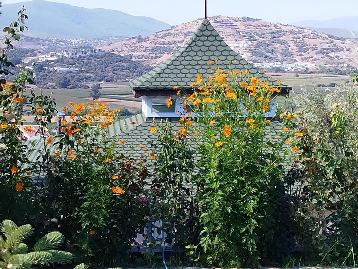 3 Günlük Mini Vipassana - Sessiz Koza İnziva Kampı