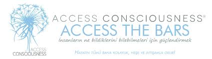 Access Bars®️ Uygulayıcılık Programı Funda Go