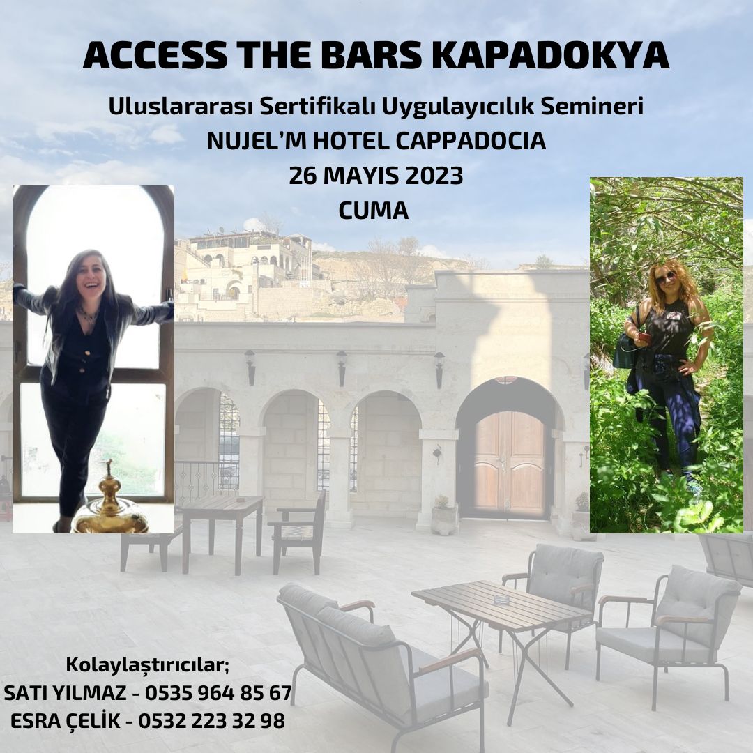 Acces The Bars Semineri