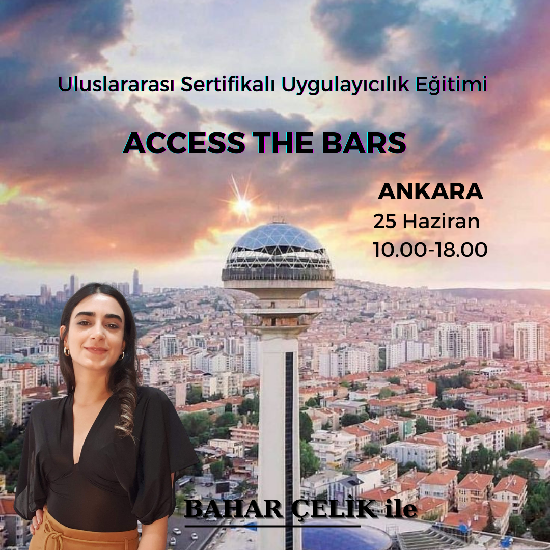 Access The Bars Semineri