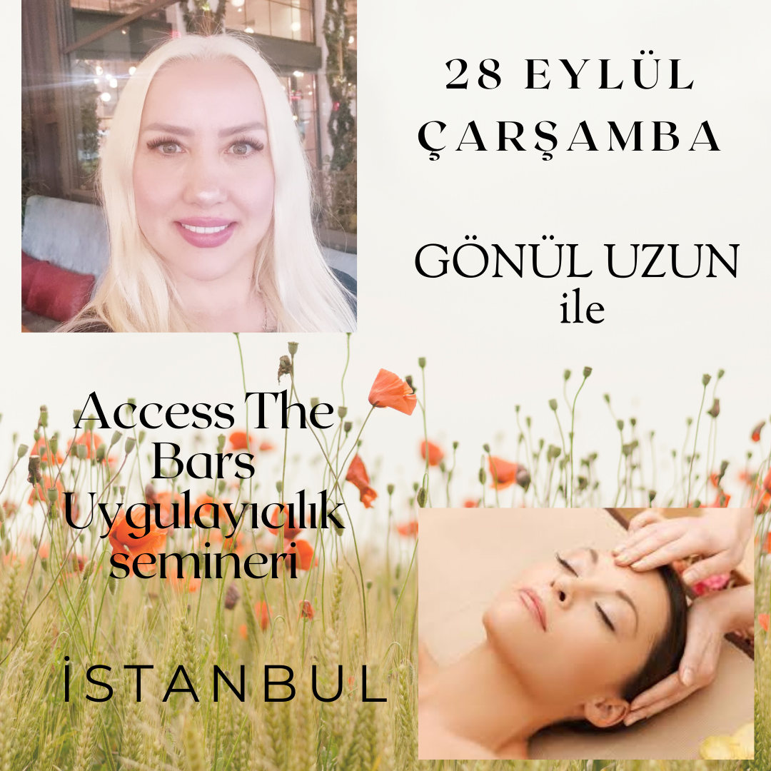 Access The Bars  Uygulayıcılık Eğitimi