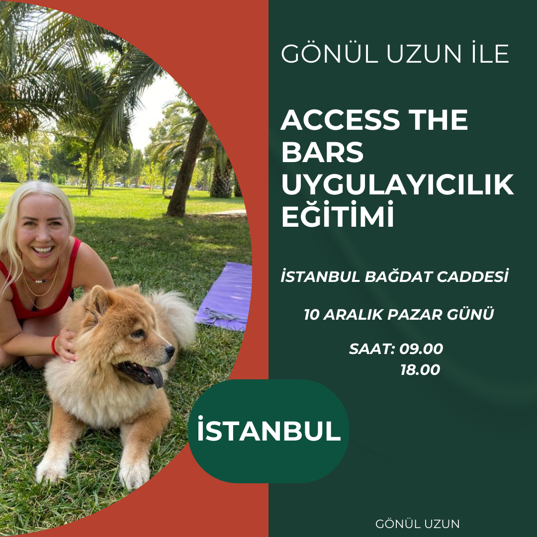 Access The Bars Uygulayıcılık Programı Gönül Uzun