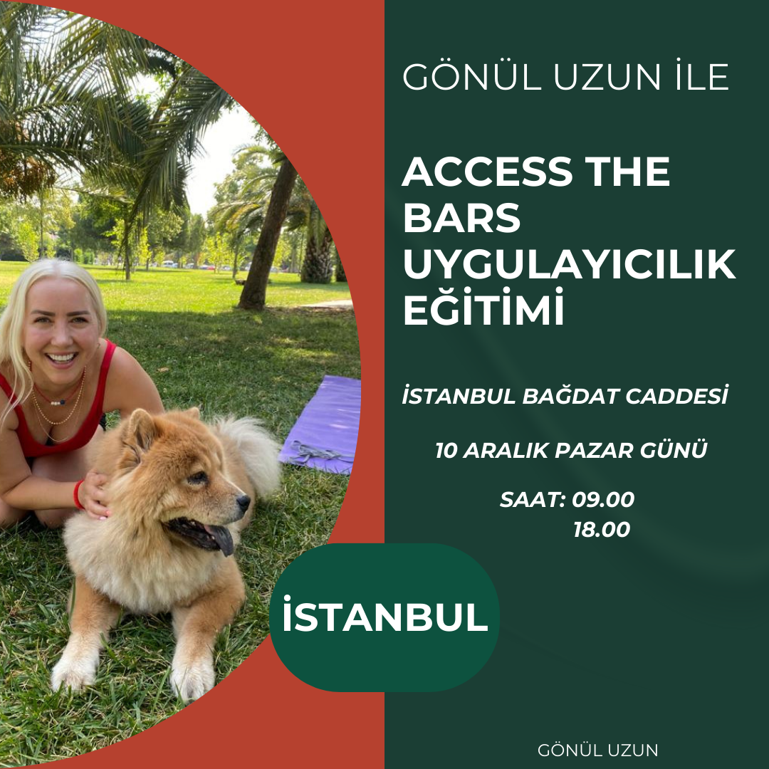 Access The Bars Uygulayıcılık Eğitimi