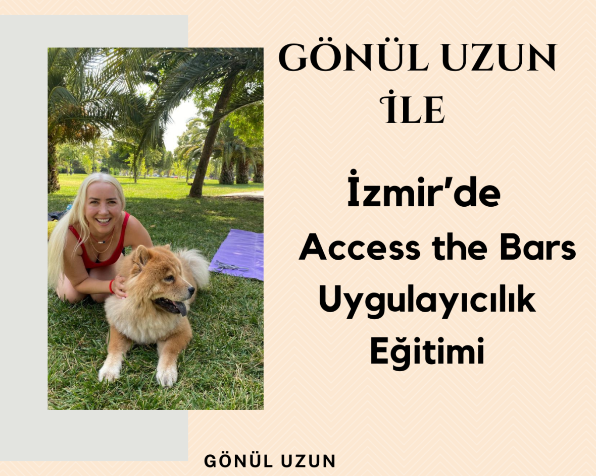 Access The Bars Uygulayıcılık Programı | İzmir Gönül Uzun