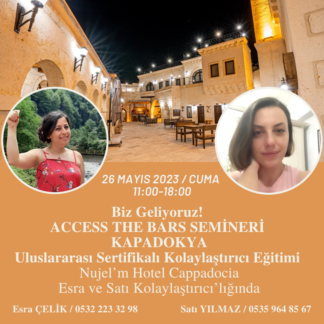 Acces The Bars Semineri
