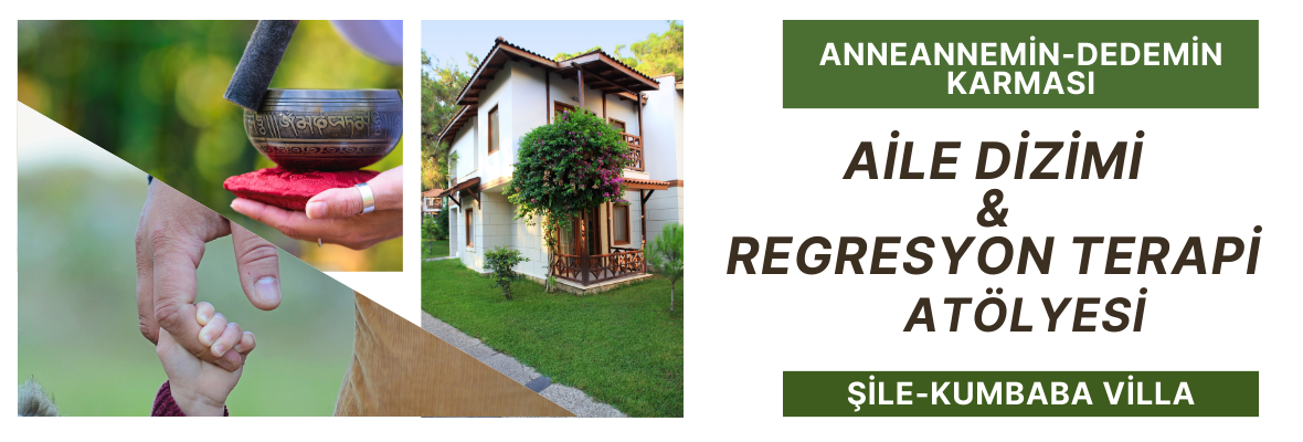 Aile Sistem Dizilimi & Regresyon Seans Atölyesi-Şile