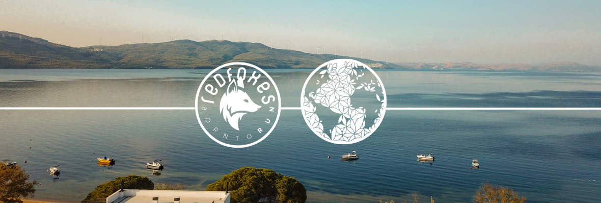 Redfoxes x Auramind Spor & Wellness Kampı | Erdek Auramind