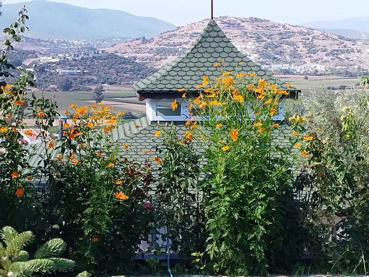 Yoga Kampı Festivali - Bodrum - Kasım