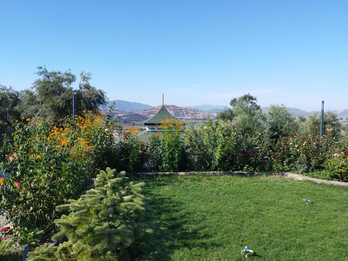 Bedenin Dili Dans Terapi