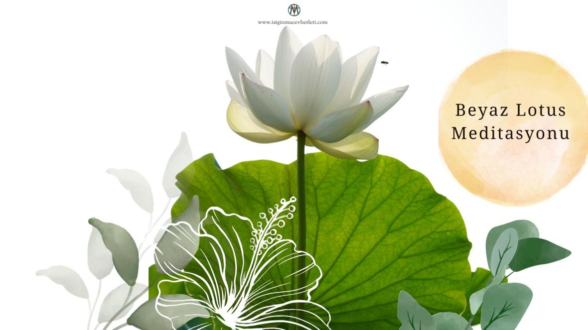 Beyaz Lotus Meditasyonu