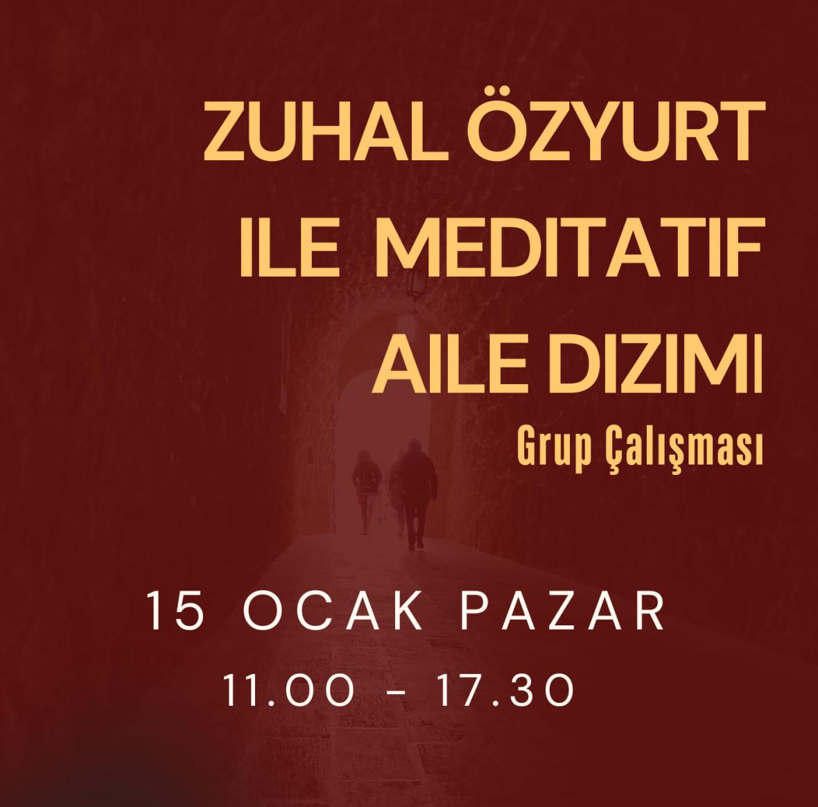 Bireysel Yüz Yüze - Zoom Çevirim içi Aile Sistem Dizimi / Geçmişe Yönelik Travma