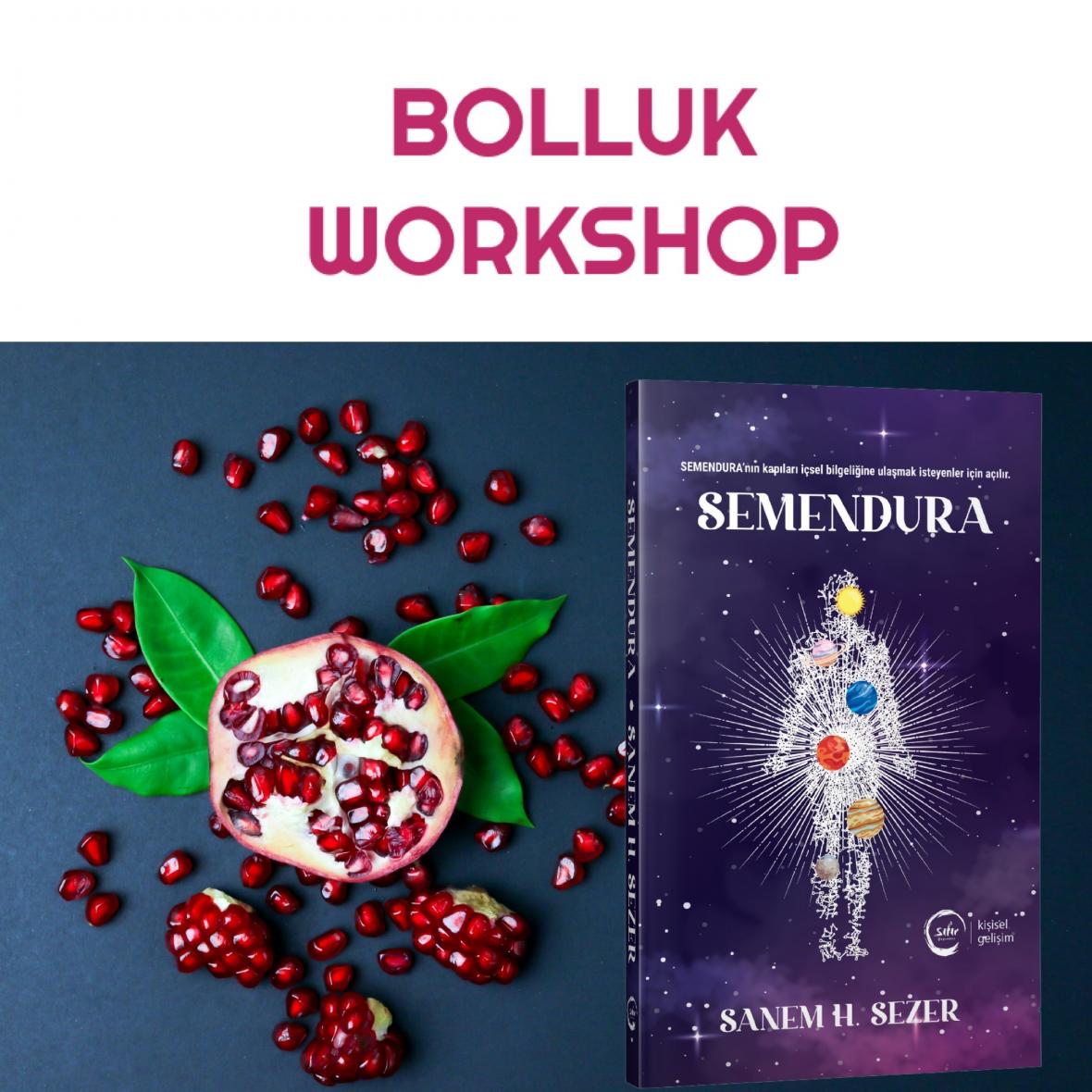 Bolluk Workshopu