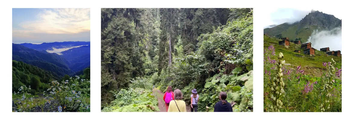 Şaylan Yılmaz ile Karadeniz Kampı Şaylan Yılmaz