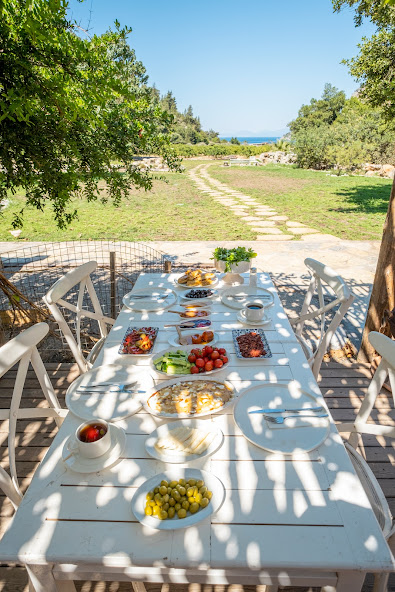 Dalyan'da Yoga - Art - Gastronomy İnzivası Büşra Can
