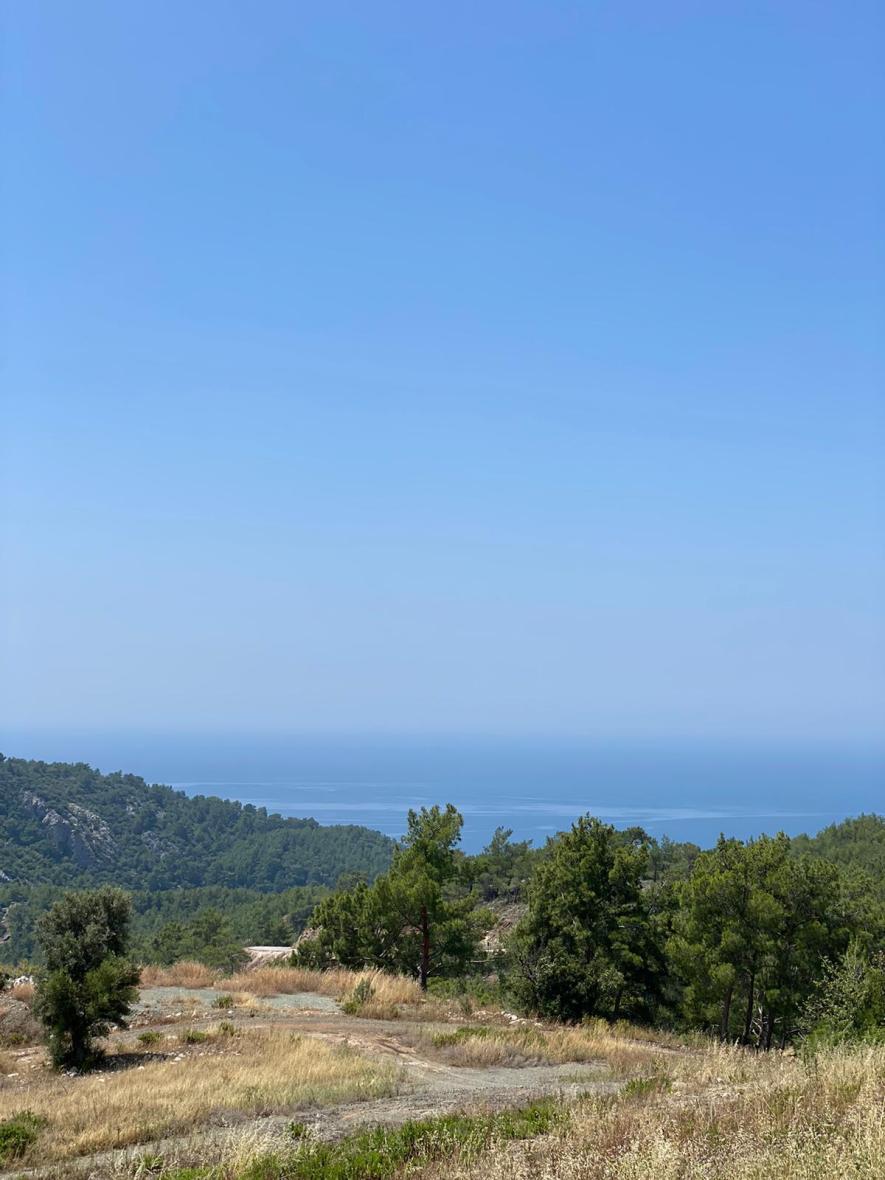 Antalya'da Yoga ile Harekete Geç Kampı (Bayram tatili) Kaan Dirim