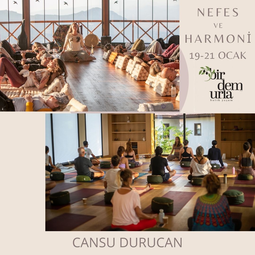 Cansu Durucan - Nefes ve Harmoni Cansu Durucan