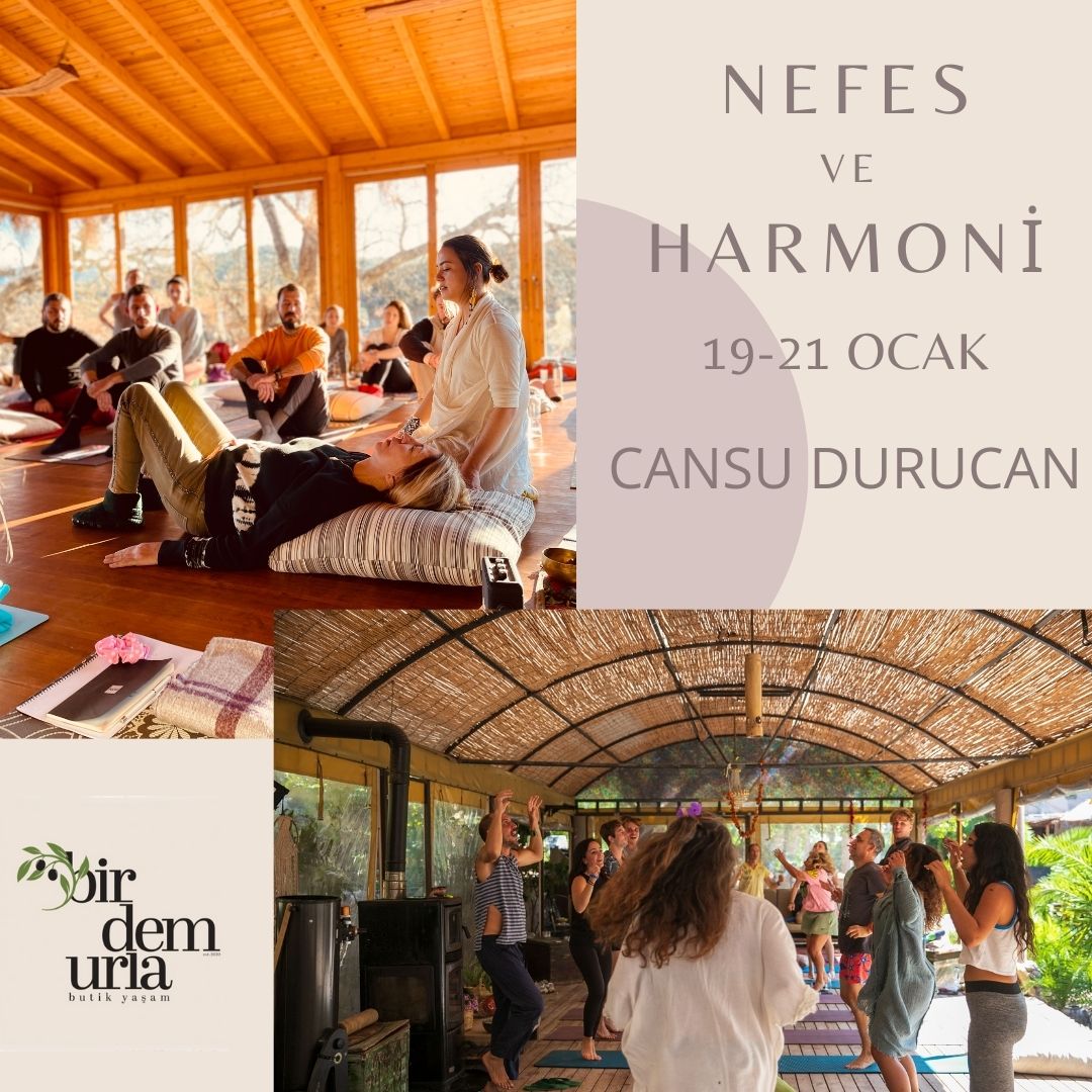 Cansu Durucan - Nefes ve Harmoni Cansu Durucan