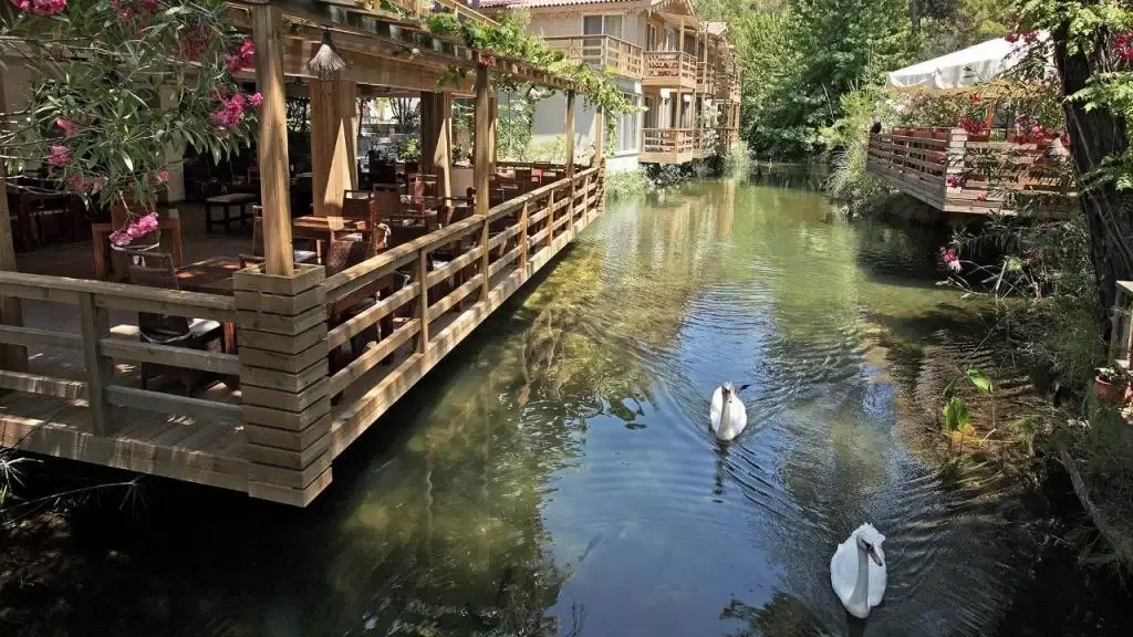 Auramind l Yaşam Denge Kampı l Bördübet - Marmaris Auramind