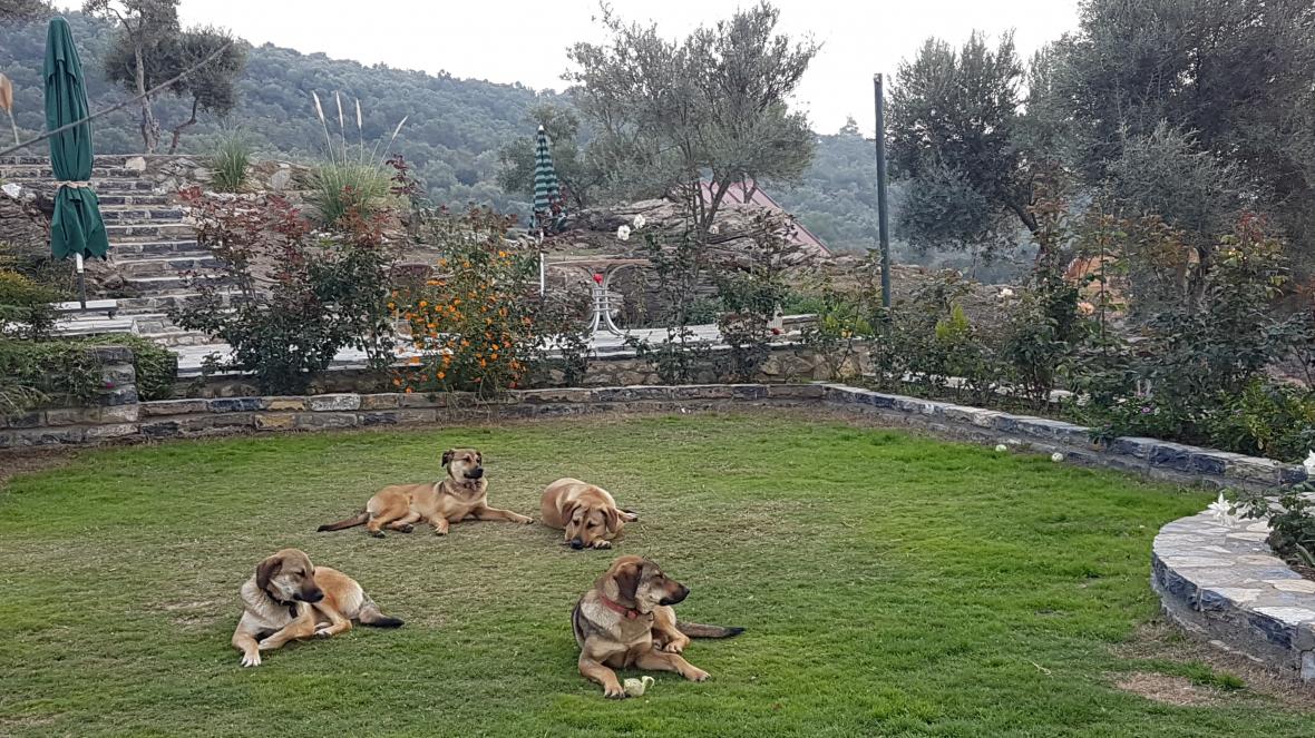 Çiğdem Sarı Fraser ile Tibet Çanakları Ses Seans Çiğdem Sarı Fraser