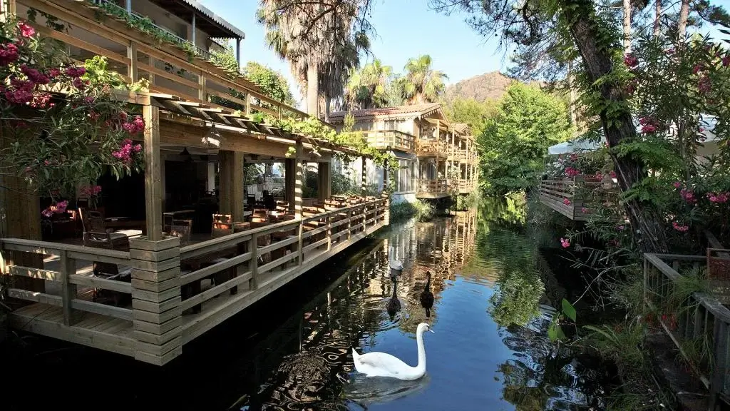 Auramind l Yaşam Denge Kampı l Bördübet - Marmaris Auramind
