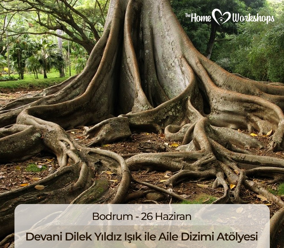 Devani Dilek Yıldız Işık ile Aile Dizilimi Atölyesi