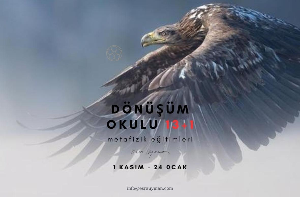 Dönüşüm Okulu 13+1