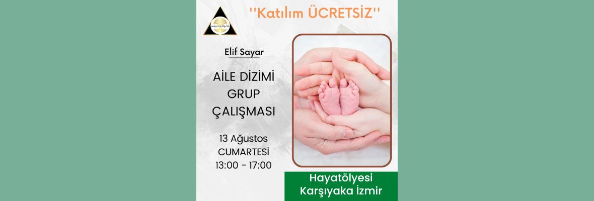 Elif Sayar ile Aile Sistem Dizimi Grup Çalışması
