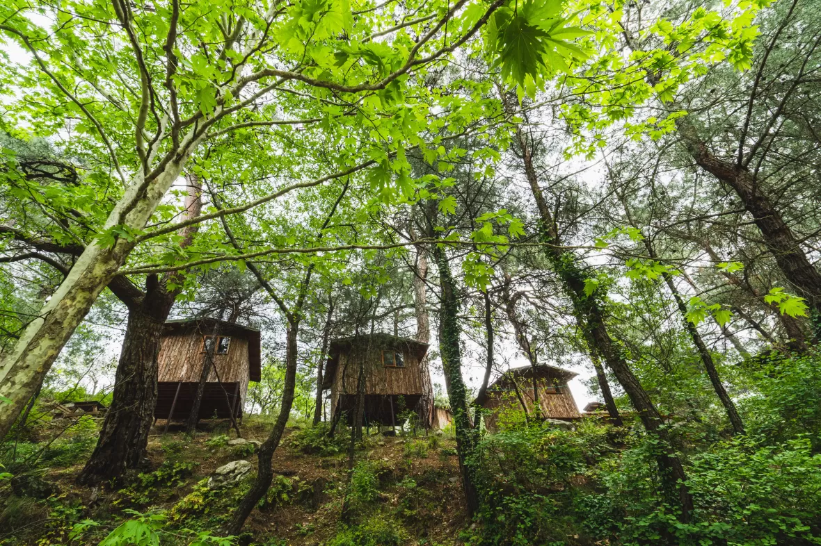 Bi Acayip Davet | Sanat, Rüya ve Hareket Kampı