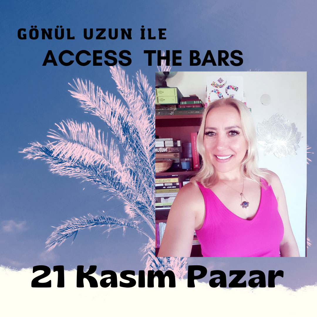 Access the Bars Uygulayıcılık Programı