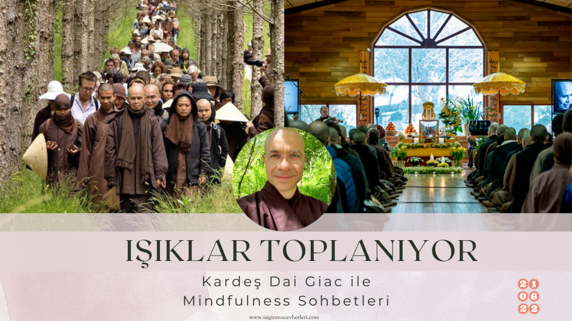 Işıklar Toplanıyor: Kardeş Dai Giac ile Mindfulness Sohbetleri