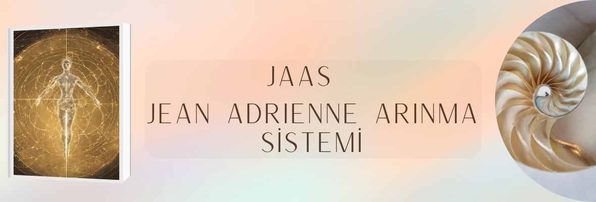 Jean Adrienne Arınma Sistemi (JAAS) - Bütüncül Bireysel Seans