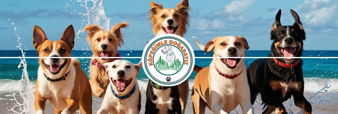 Köpeğimle Doğadayız | 17-19 Mayıs 2025