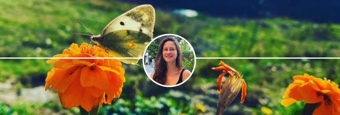 Kurban Bayramı'nda Bolu | Yoga, Doğal Nefes ve Koçluk Kampı