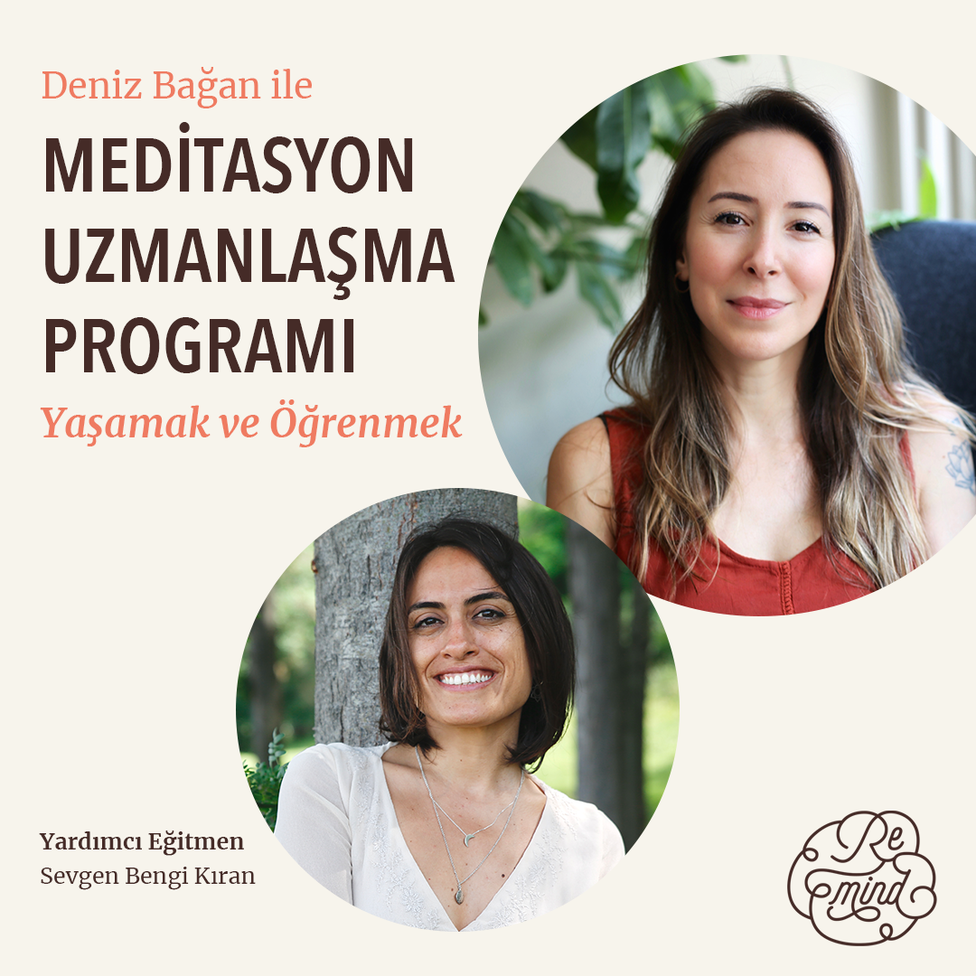 Meditasyonda Uzmanlaşma Programı - Yaşamak ve Öğretmek