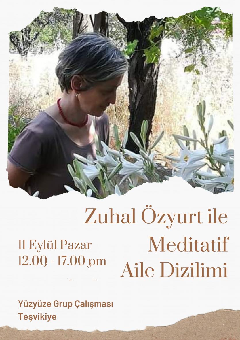 Meditatif Aile Sistem Dizilimi Grup Çalışması