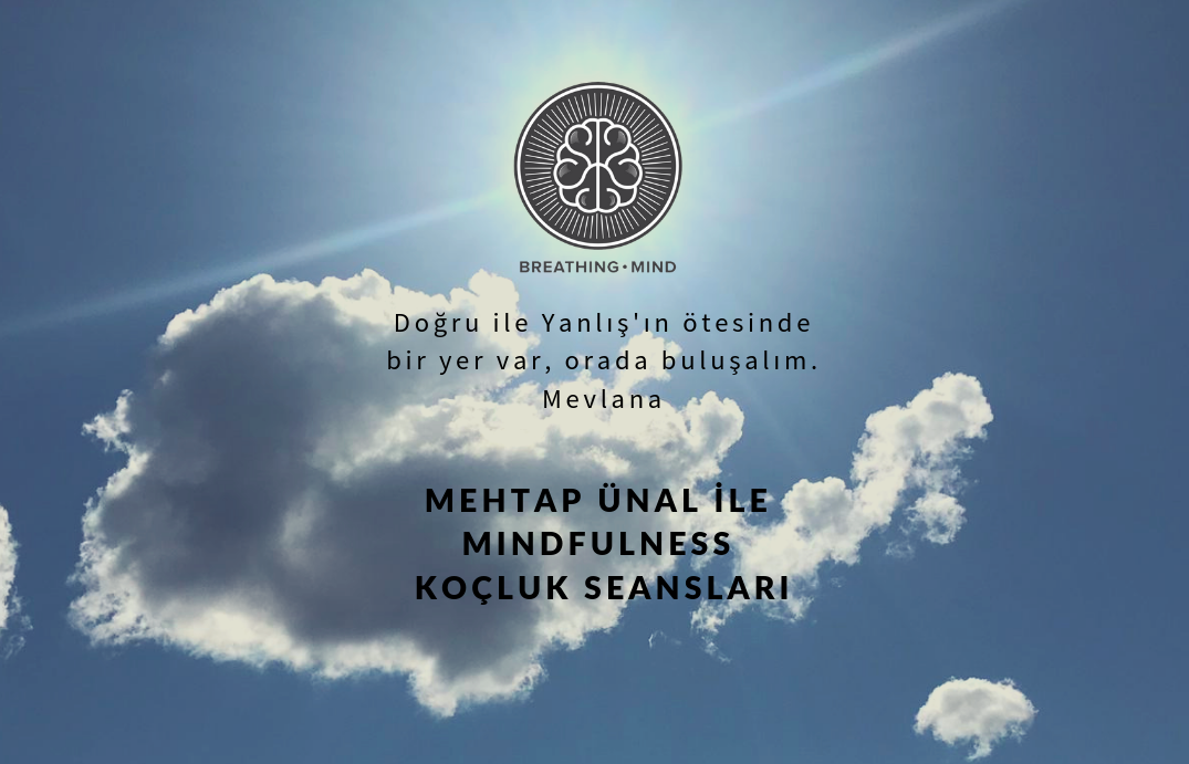 Mindfulness Koçluğu