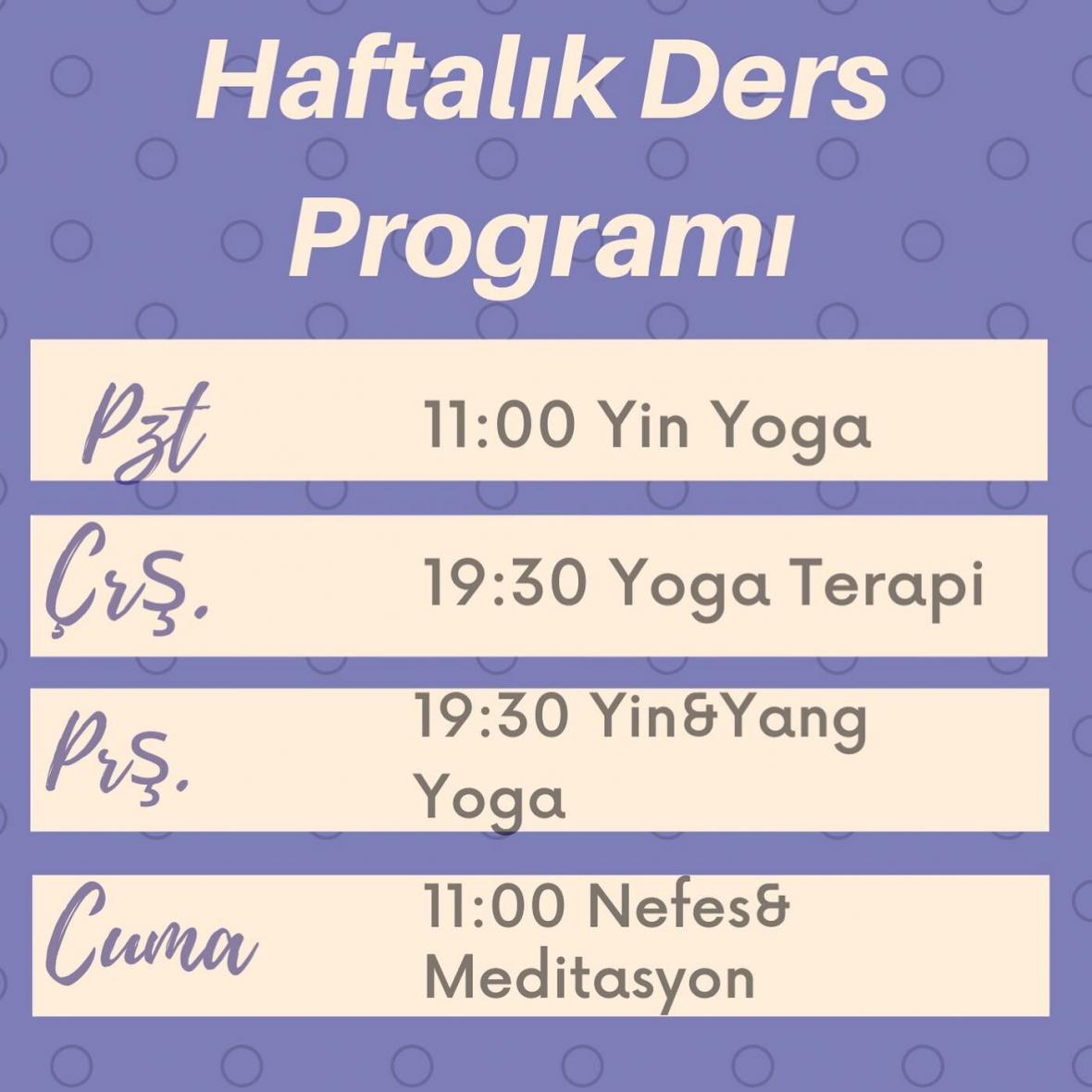 Ocak ayı Online Yoga dersleri Berna Ünlü