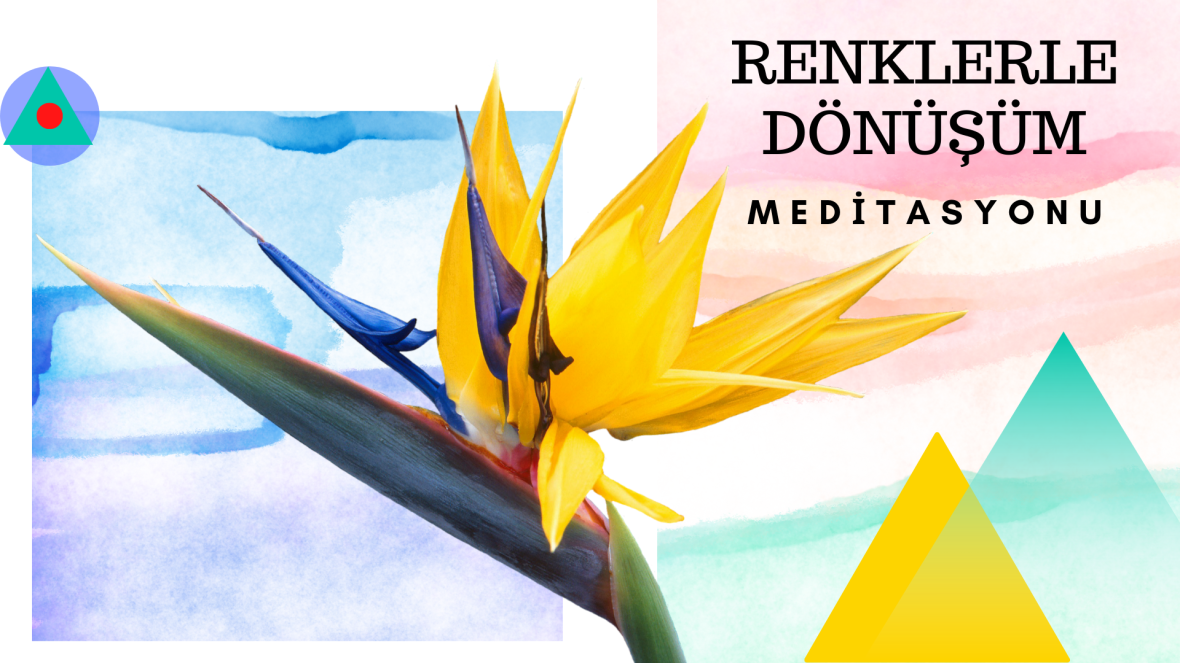 Renklerle Dönüşüm Meditasyonu