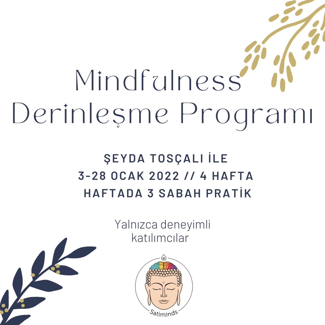 Satiminds Mindfulness Derinleşme Programı