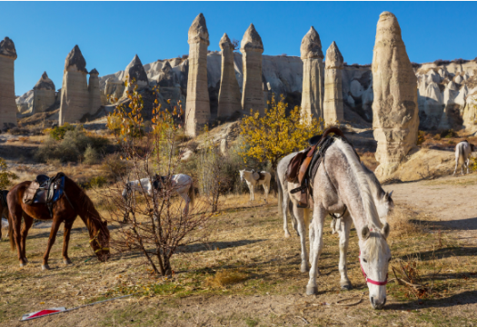 Derin Beden ve Nefes Yoga Kampı | Kapadokya Özge Küçükkaya