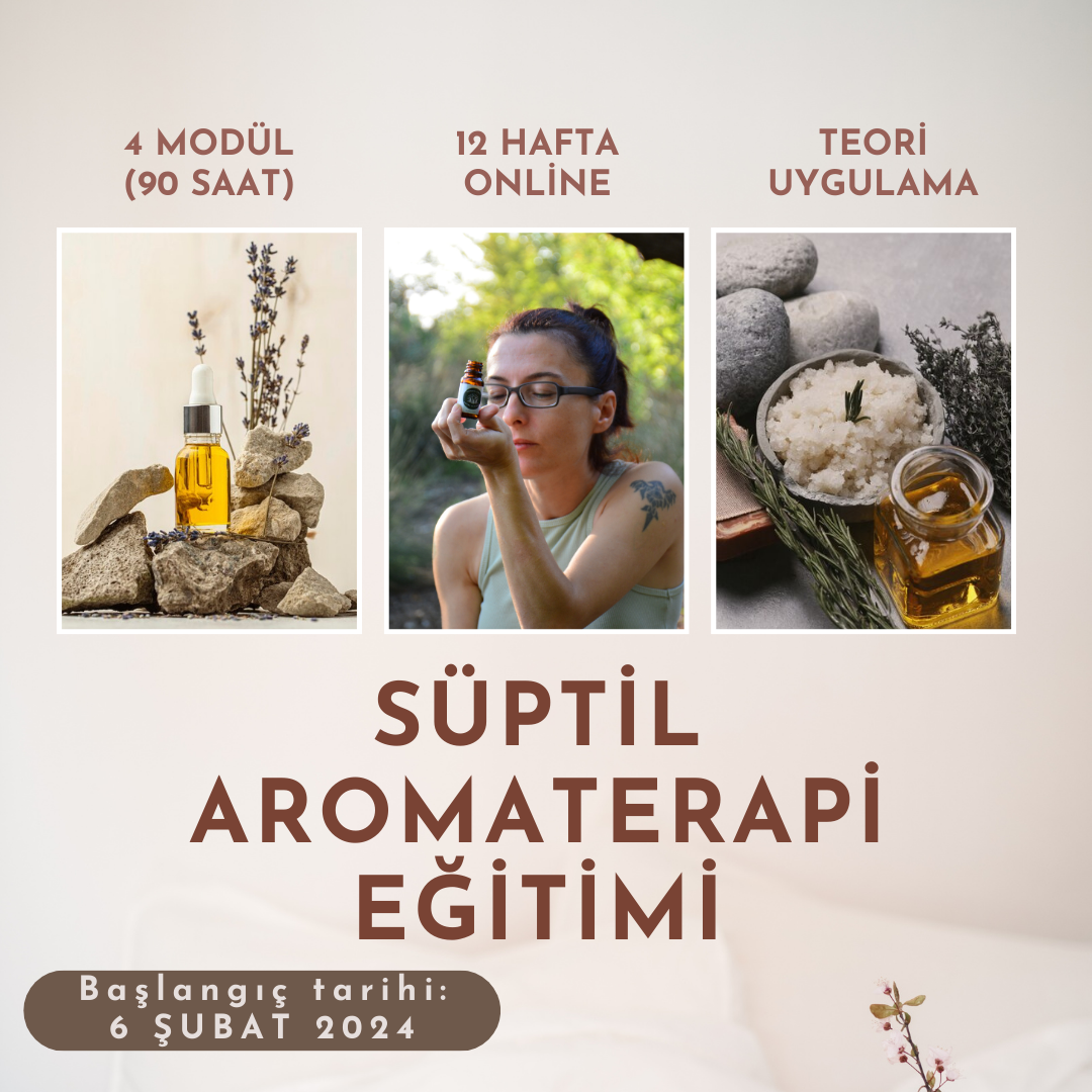 Süptil Aromaseans Uzmanlaşma Programı Aysu Bütünay