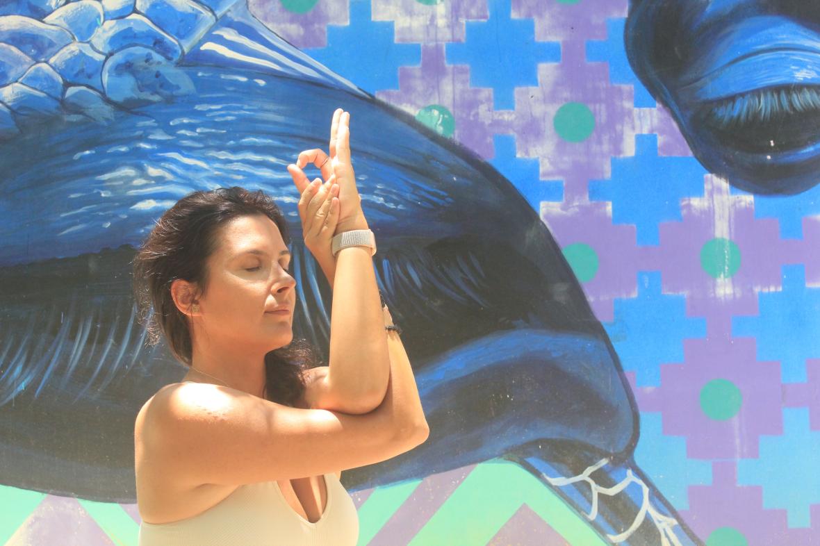 Tuğba Ekler İle Online Bireysel Yoga Seansları (Fit-Flow-Yoga-Turkey) 