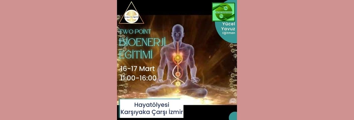 Two Point Bioenerji Programı