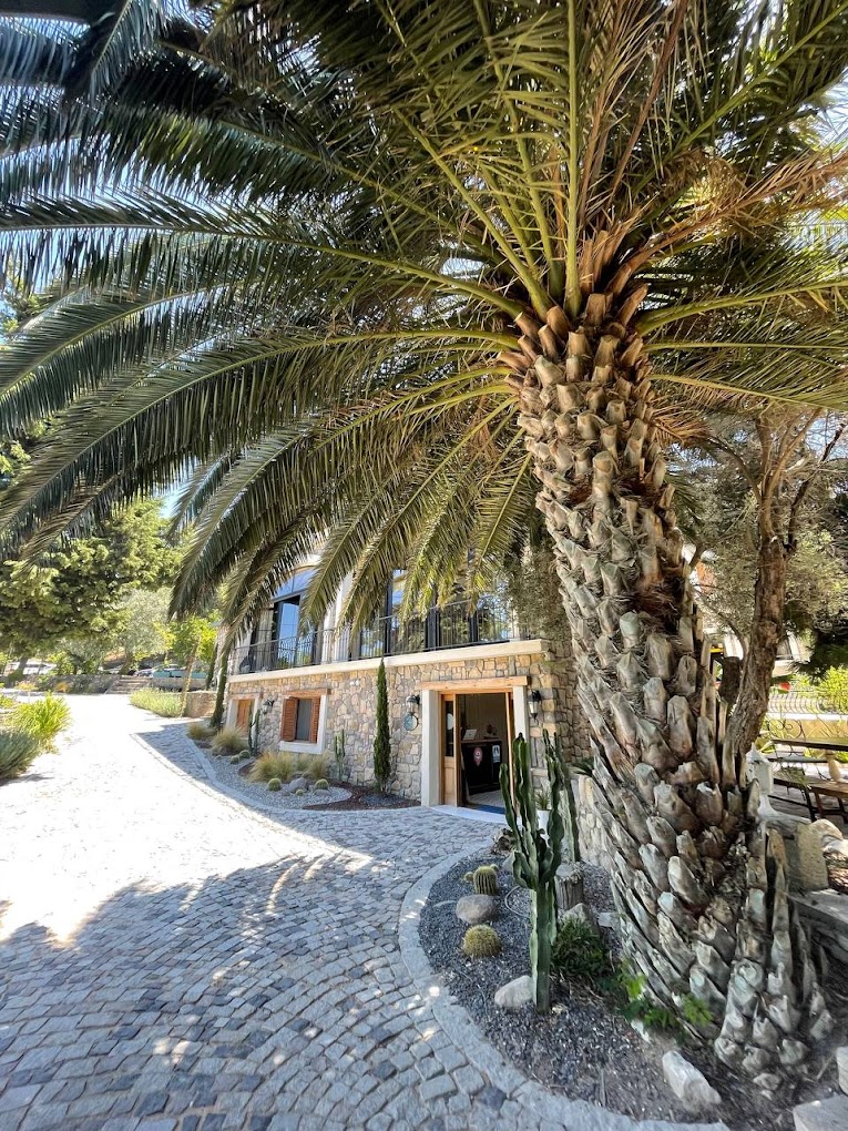 Cihangir Yoga ile Ebeveyn-Çocuk Yoga & Mindfulness Kampı