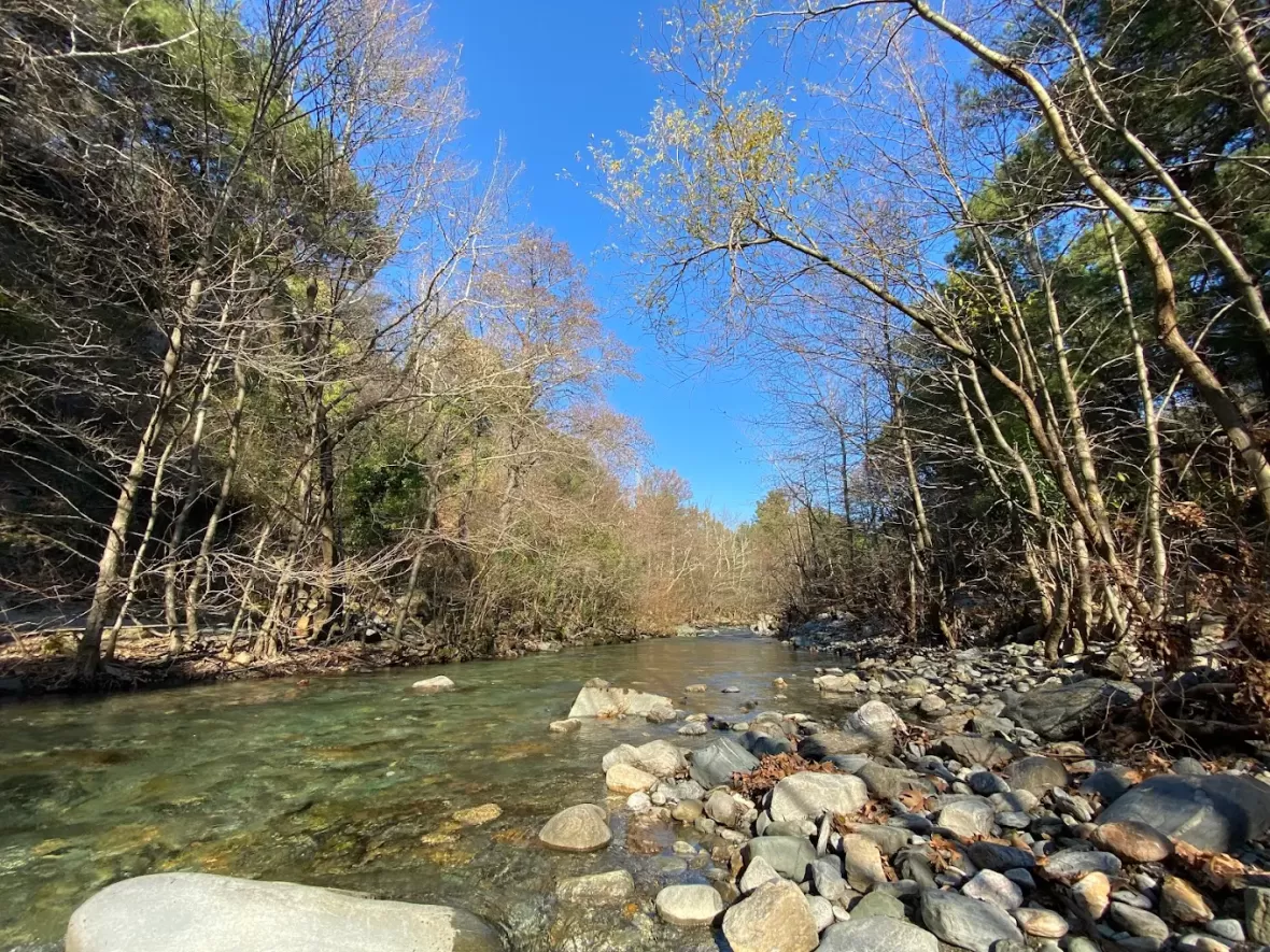 Kaz Dağlarında Berna Ünlü ile Yoga ve Meditasyon Kampı