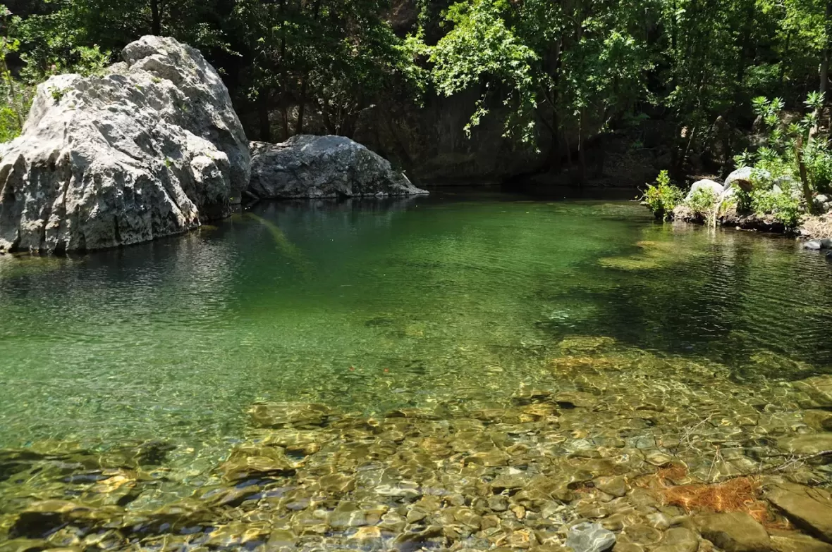Kaz Dağlarında Berna Ünlü ile Yoga ve Meditasyon Kampı Berna Ünlü